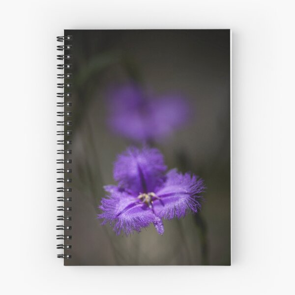 Item preview, Australian Wild Fringed Lily designed and sold by hugo.