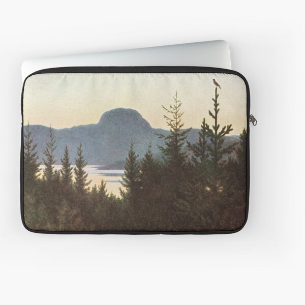 Andersnatten (Kittelsen) Laptop Sleeve