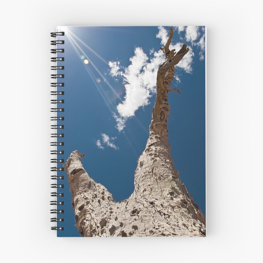 Item preview, Spiral Notebook designed and sold by CraigSHender.