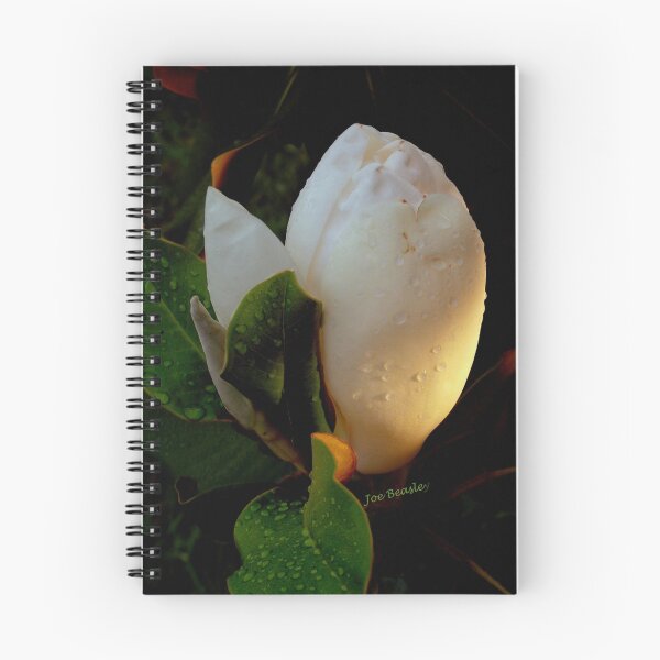 Item preview, Magnolia Sunrise designed and sold by © Joe  Beasley IPA.