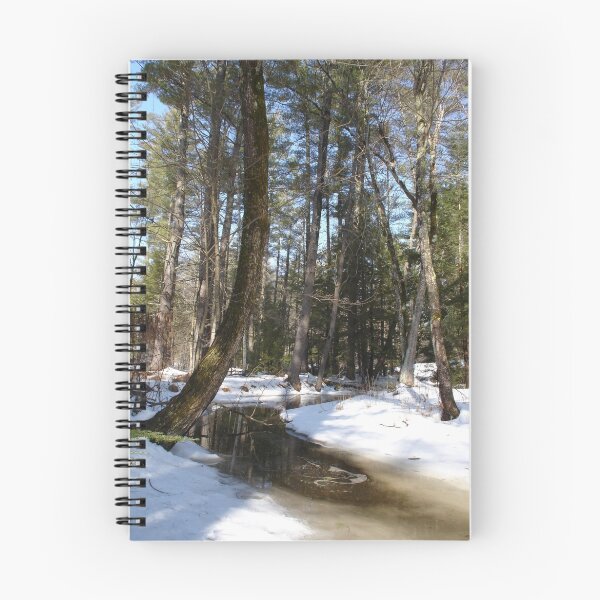 Item preview, Winter Woods in New Hampshire designed and sold by aX4uFotos.