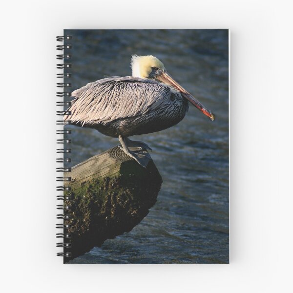 Item preview, Brown Pelican on Post designed and sold by Jonicool.