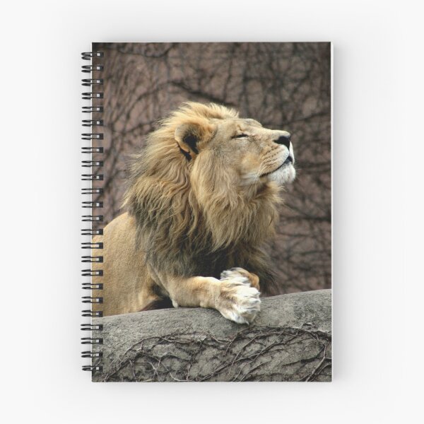 Item preview, Lion designed and sold by Tigris.