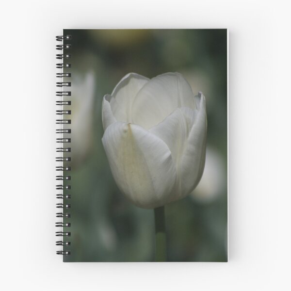 Item preview, Pure Joy designed and sold by Sally Haldane.