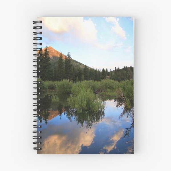 Item preview, Reflection Of the Morning designed and sold by Gene Praag.