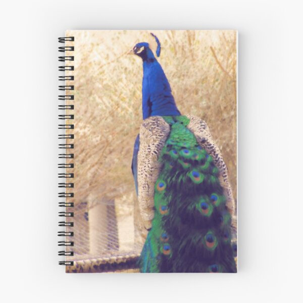 Item preview, peacock designed and sold by isaacguy.