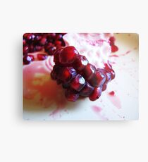 Edible Garnets Metal Print