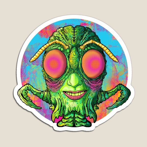 BUG Magnet