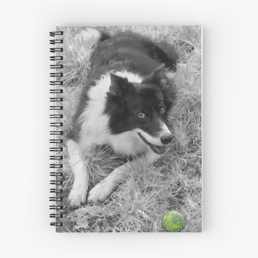 Item preview, Spiral Notebook designed and sold by Ranger1.