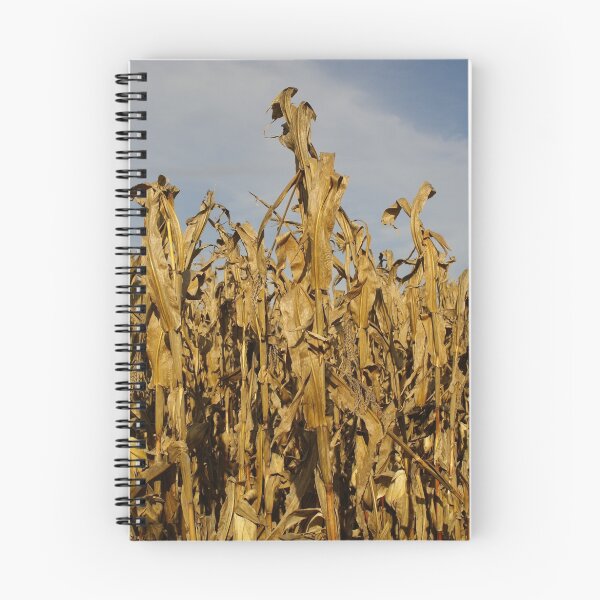 Item preview, Corn Stalks designed and sold by Cking1575.