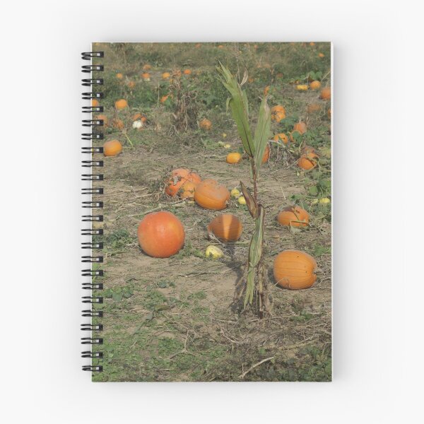 Item preview, The Perfect Pumpkin designed and sold by Cking1575.