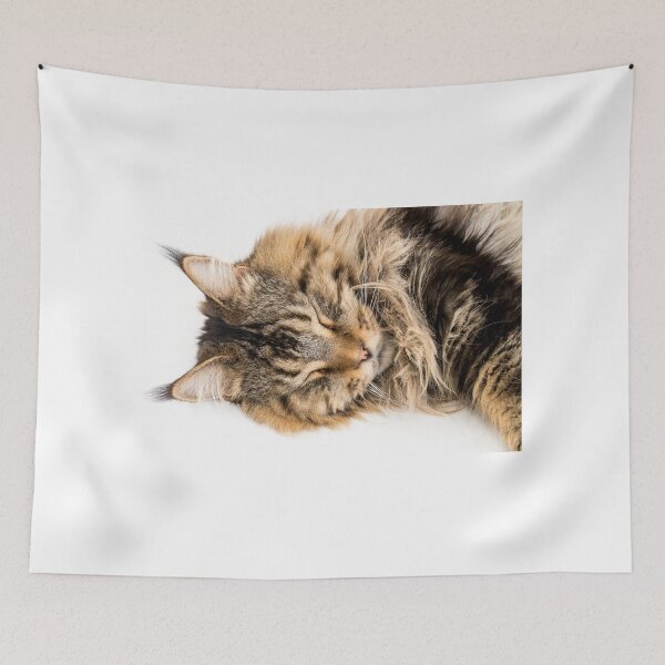 Aperçu de l'œuvre Chat du Maine Coon Tabby marron dormant créée et vendue par HappyBunny3.