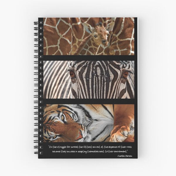 Item preview, Darwin I designed and sold by Mundy Hackett.
