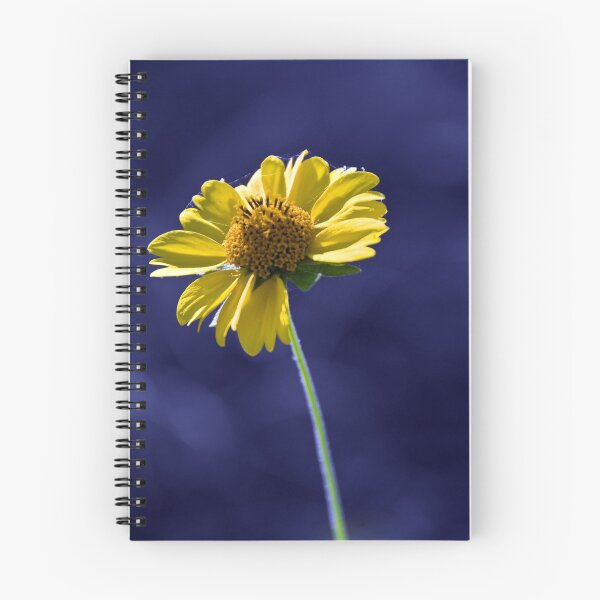 Item preview, Will She Love Me? designed and sold by Charles Dobbs Photography.