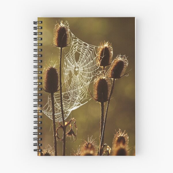 Artikelvorschau, Webbed entworfen und verkauft von Brandy  Bartley.