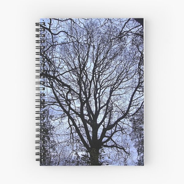 Item preview, Tree designed and sold by forestphotos.