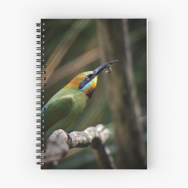 Item preview, Rainbow Bee Eater designed and sold by SD Smart.