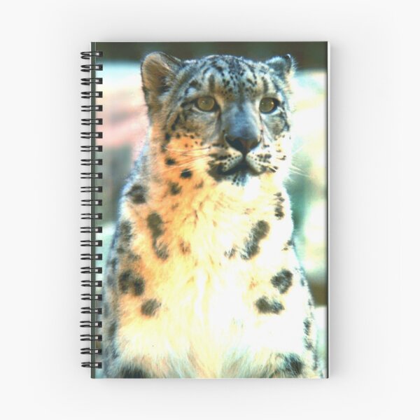 Artikelvorschau, Snow Leopards At the Sydney Zoo. entworfen und verkauft von EmilyWinter.