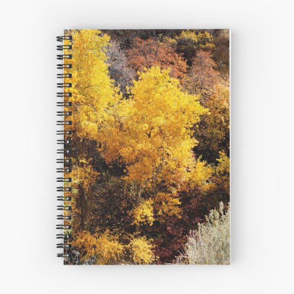 Item preview, Valley of Gold designed and sold by J. D. Adsit.