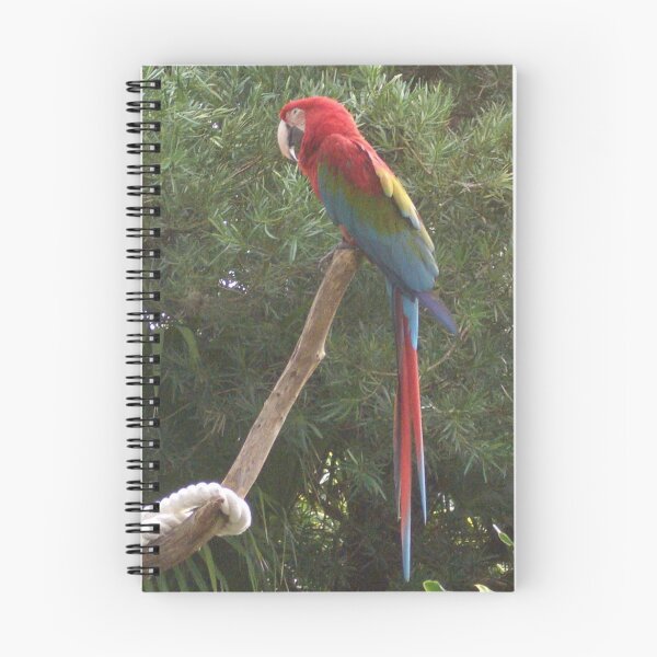 Item preview, Red McCaw designed and sold by peano12.