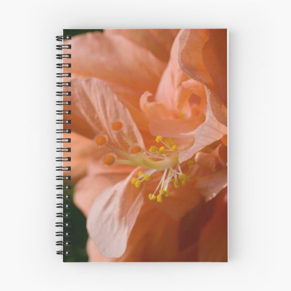Item preview, Hibiscus Peach Puffs designed and sold by jenndes.