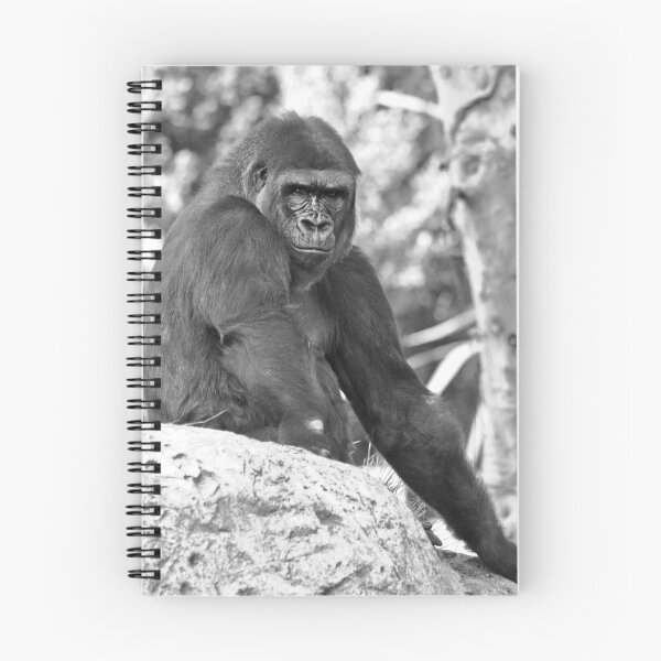 Aperçu de l'œuvre Gorille primate animal créée et vendue par Jonathan Epp.