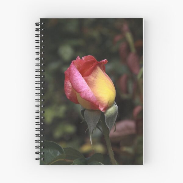 Item preview, Singular designed and sold by Clarissa Stuart.