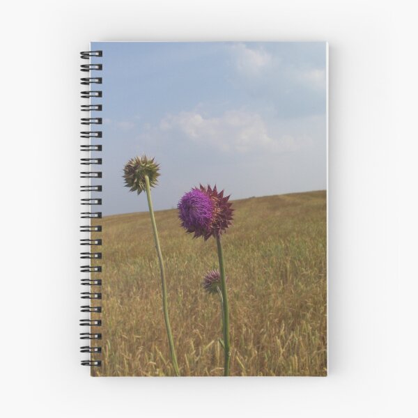 Item preview, field with thistle designed and sold by budrfli.