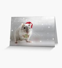 Here's a little Christmas gift for you xxx Greeting Card