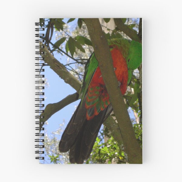 Item preview, King Parrot 3 designed and sold by Sybelle.