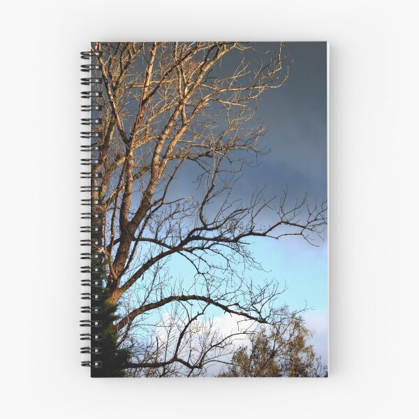 Item preview, August designed and sold by Robyn Lakeman.