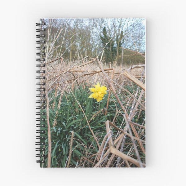 Item preview, The First Daffodil designed and sold by TimHatcher.