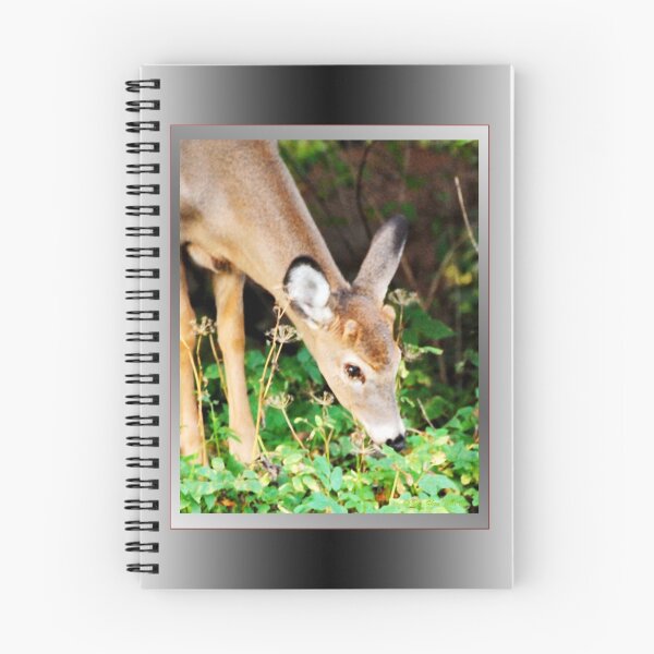 Item preview, My First Antlers Are Almost Here! (card) designed and sold by TerriRiver.