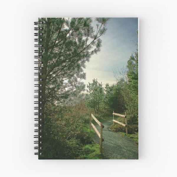 Item preview, Nant y Arian designed and sold by philwells.