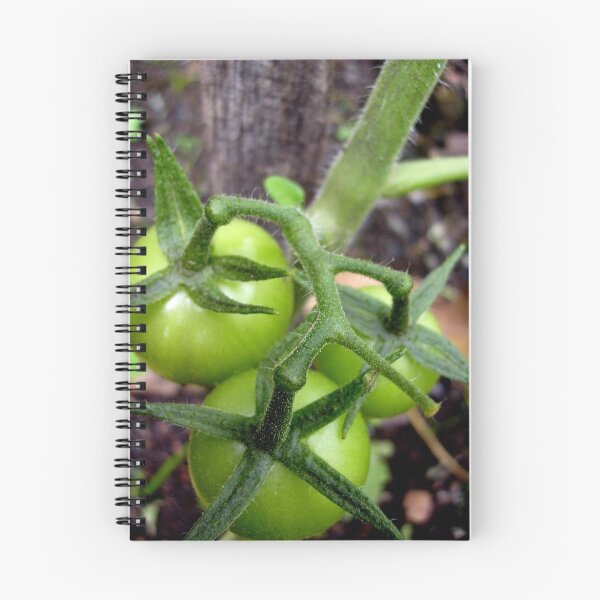 Item preview, Harvest designed and sold by Route64.