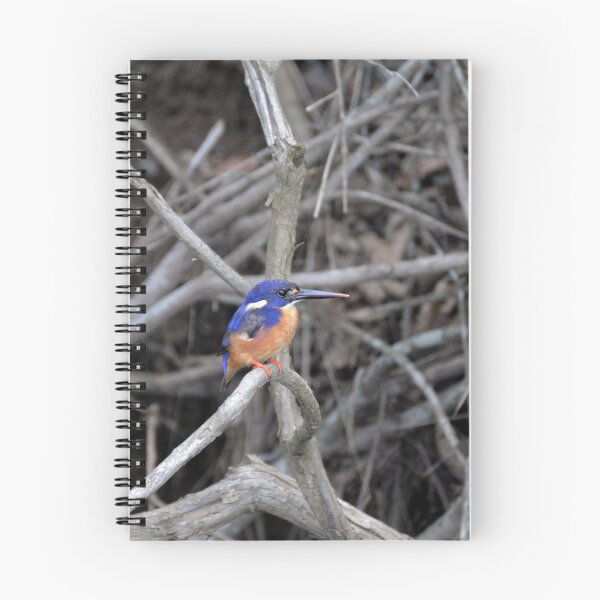 Item preview, Kingfisher designed and sold by CodyLaskeyPhoto.