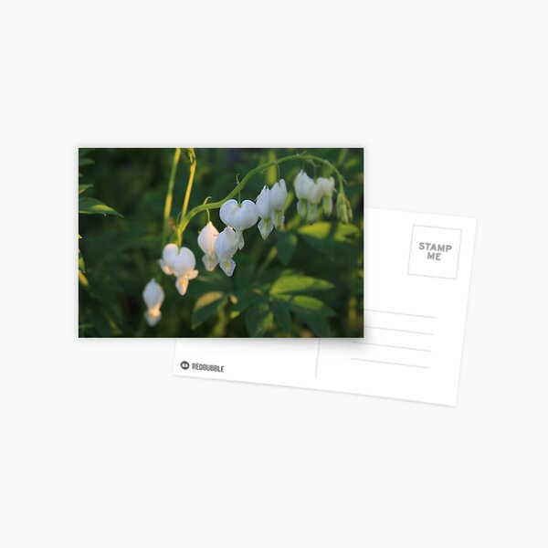Item preview, bleeding heart designed and sold by Nordic Waters Collection.