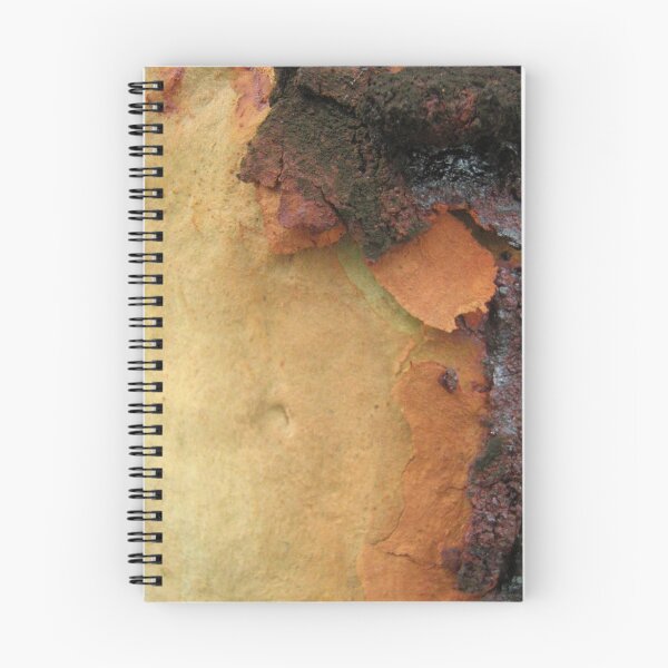 Item preview, Coloured Bark designed and sold by Patricia  Knowles.