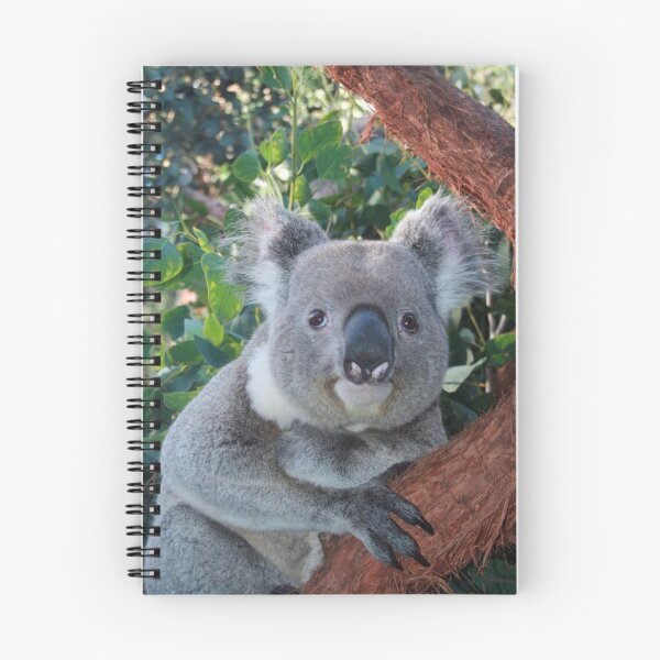Item preview, Oso koala designed and sold by Suzy  Baines.