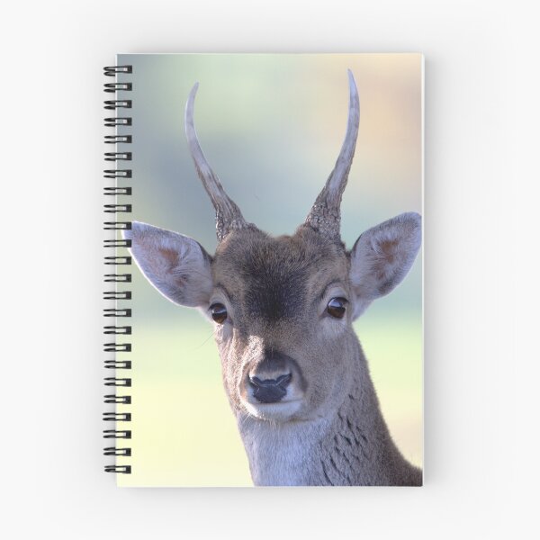 Item preview, Fallow Buck designed and sold by Neil Bygrave (NATURELENS).