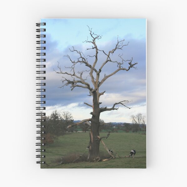 Item preview, Bare Branches designed and sold by Justine Humphries.