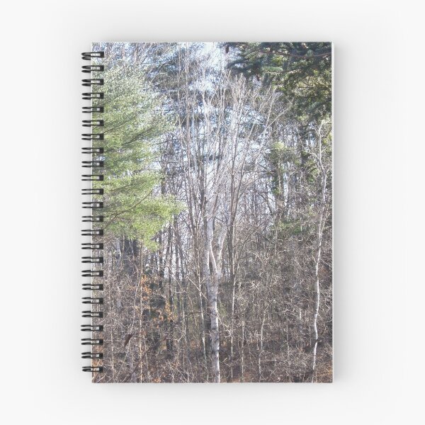 Item preview, white birch designed and sold by peano12.