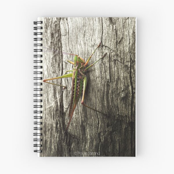 Item preview, Its a bug eat bug world out there designed and sold by Gozza.