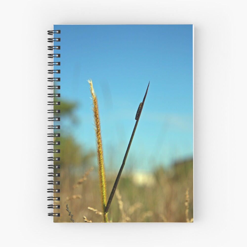 Item preview, Spiral Notebook designed and sold by Renae.