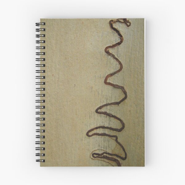 Item preview, Scribbly Gum Tree markings designed and sold by Patricia  Knowles.
