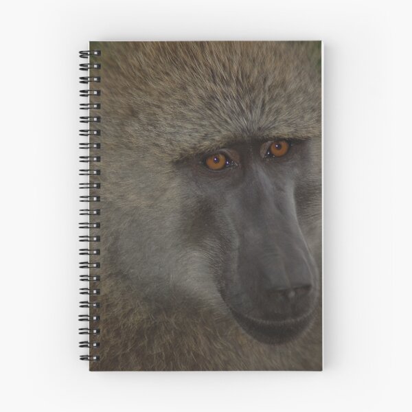 Item preview, Intense Gaze designed and sold by ApeArt.