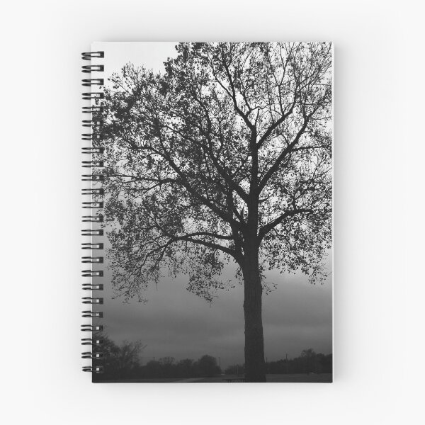 Aperçu de l'œuvre Winter Days créée et vendue par M.  Photography.