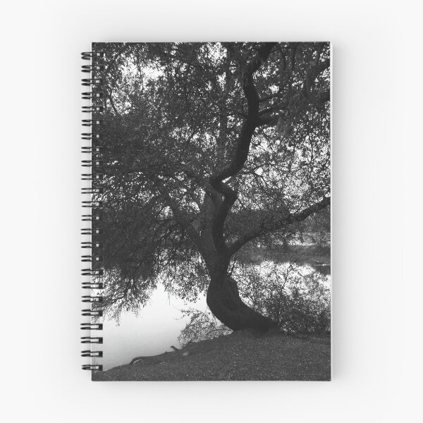 Artikelvorschau, bent entworfen und verkauft von M.  Photography.