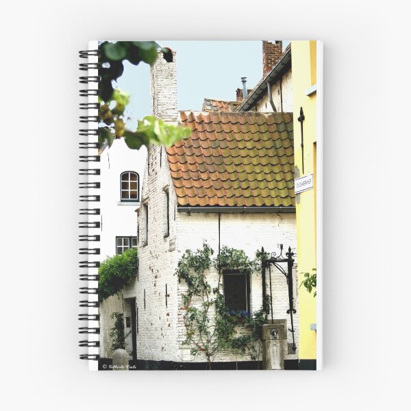 Item preview, Lier Beguinage - Pompstraat designed and sold by Gilberte.