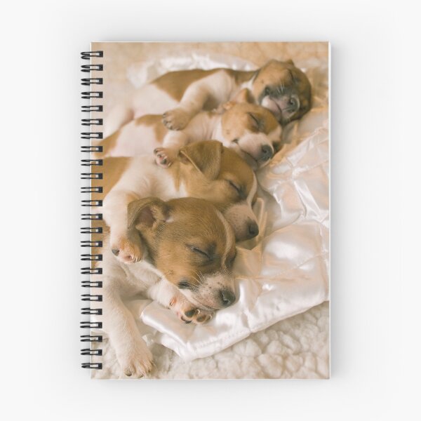 Item preview, Foursome designed and sold by kathywaldron.